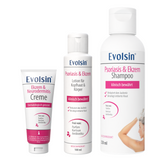 Ekzem & Neurodermitis Intensiv Bundle (Creme + Lotion + Shampoo)