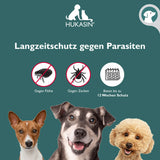 Hukasin® Spot On Hund - Zecken- und Floh Schutz - Doppelpack