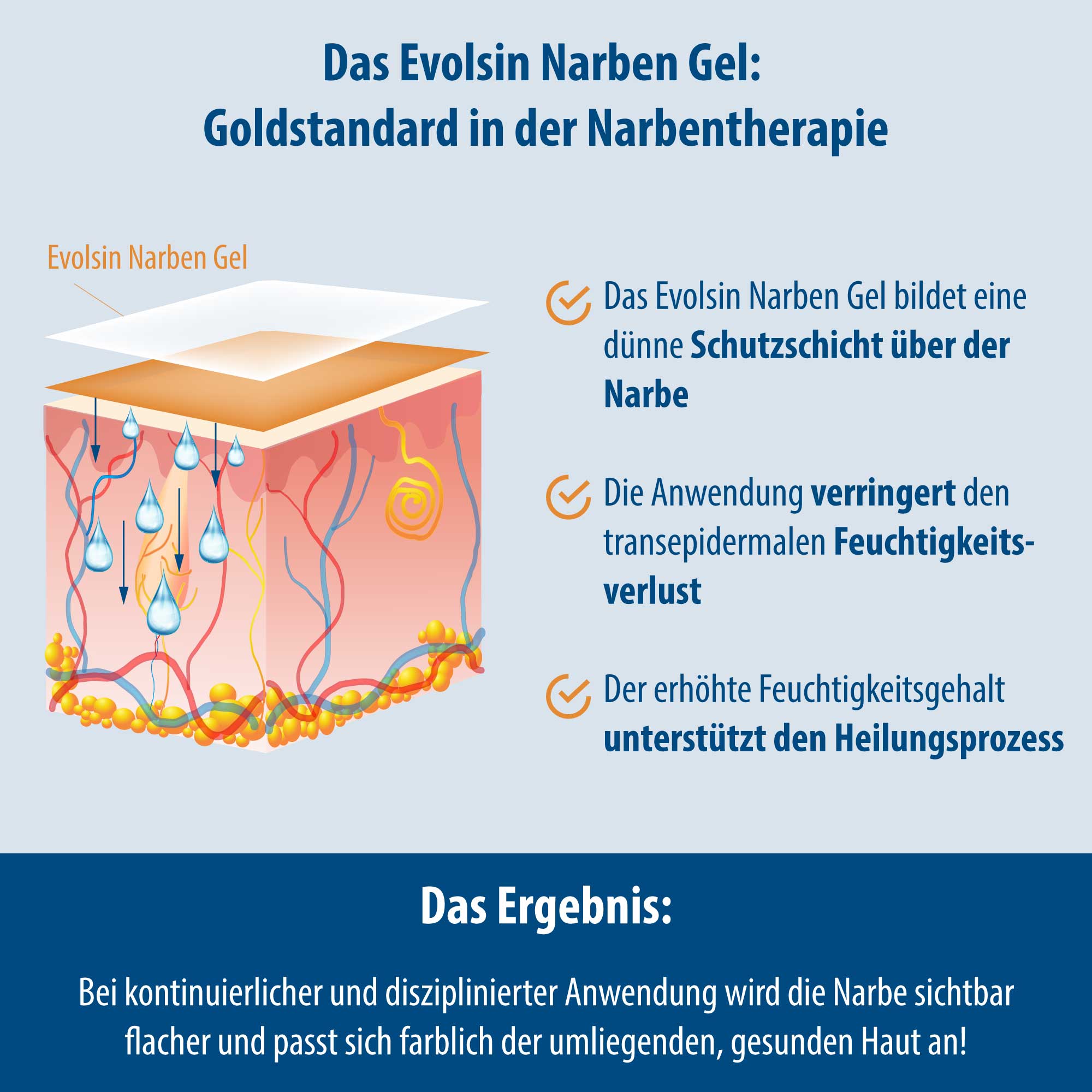 Evolsin Narben-Gel 20g für Kinder & Erwachsene - Narbensalbe geeignet für alle Narbentypen