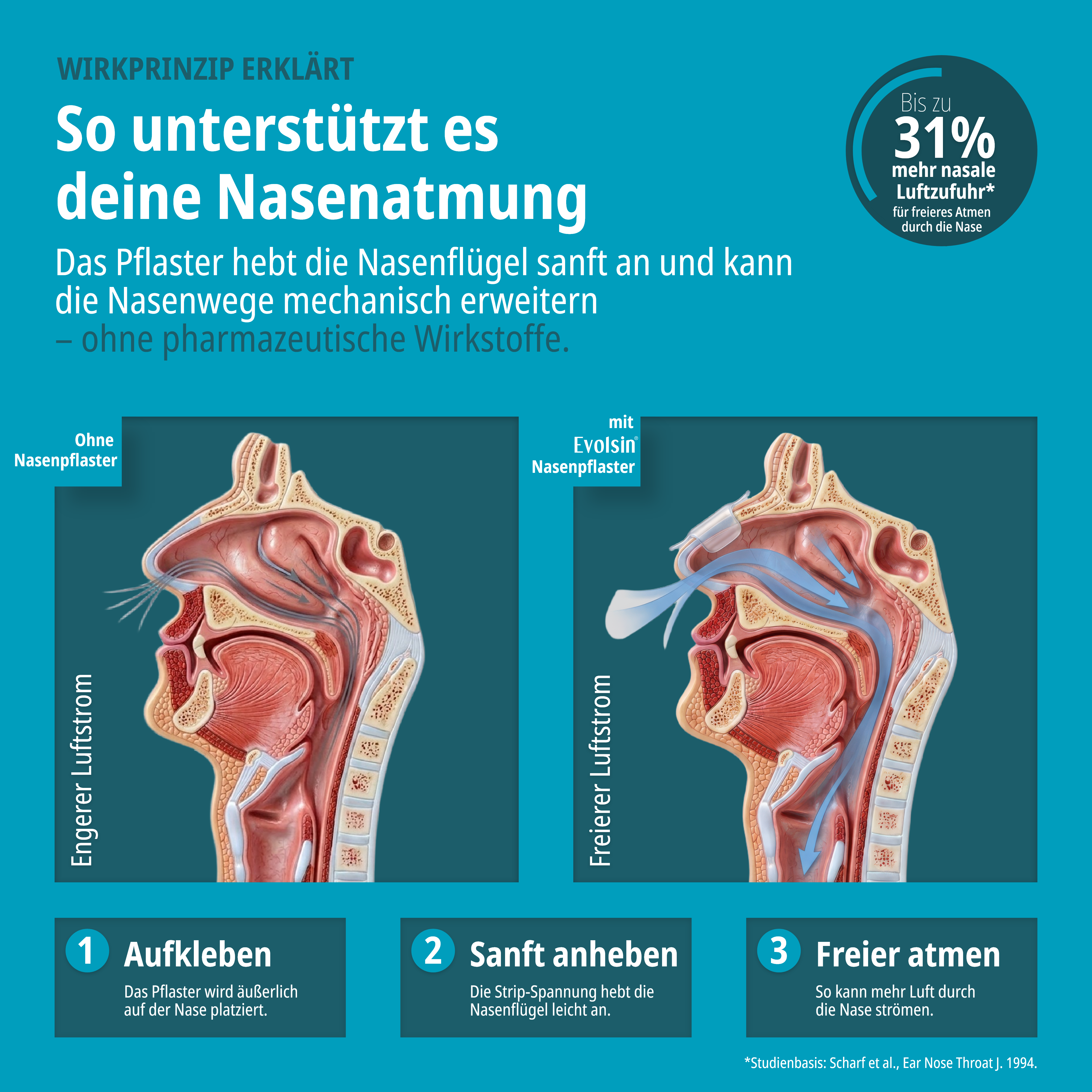 Anti Schnarch Nasenpflaster Doppelpack