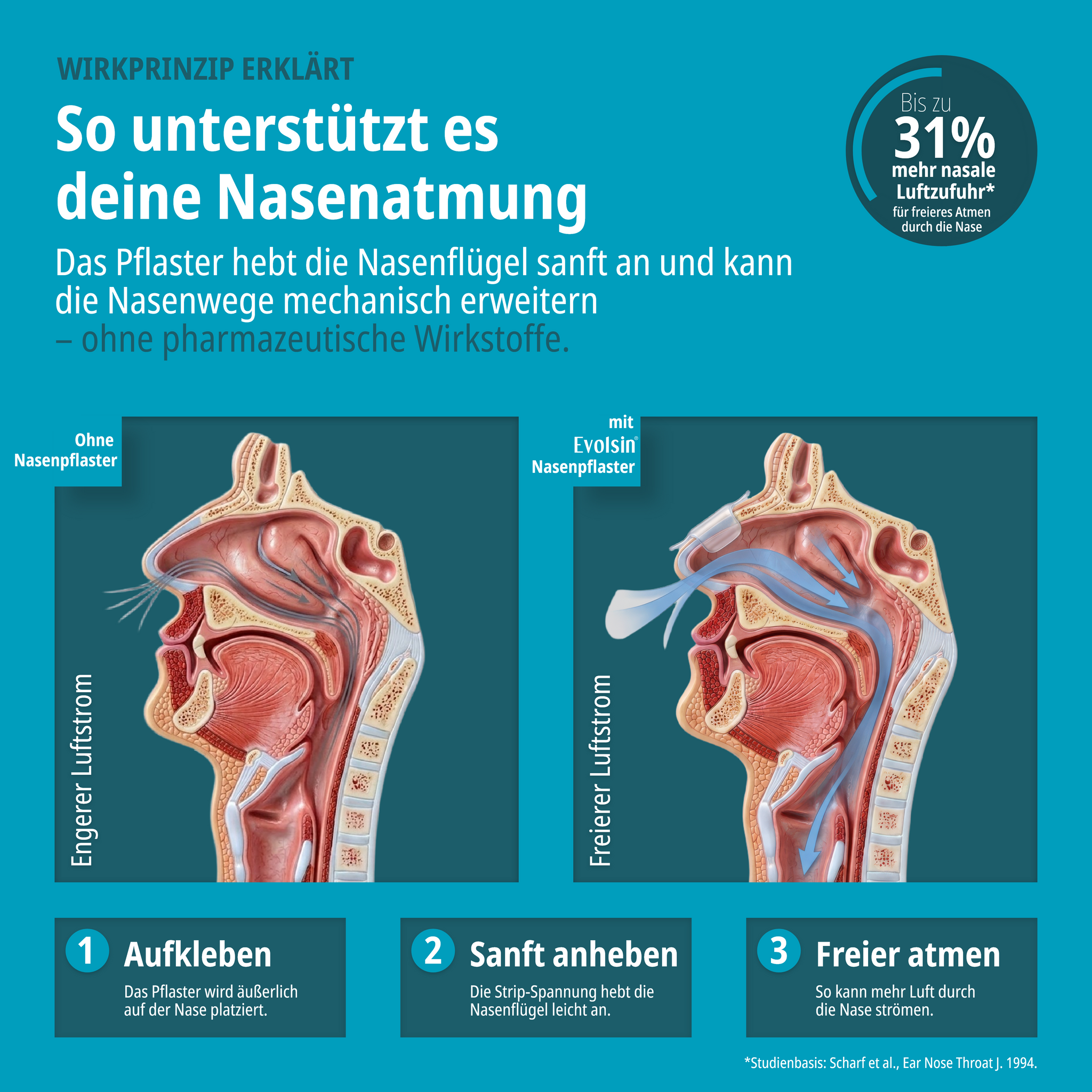 Anti Schnarch Nasenpflaster Doppelpack